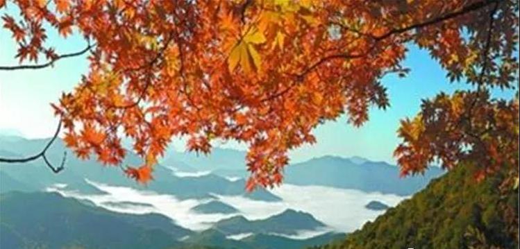 下载手机QQ最新版，开启自然美景探索之旅