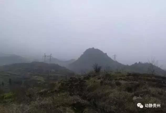 北京水木医学生物发展基金会 第266页