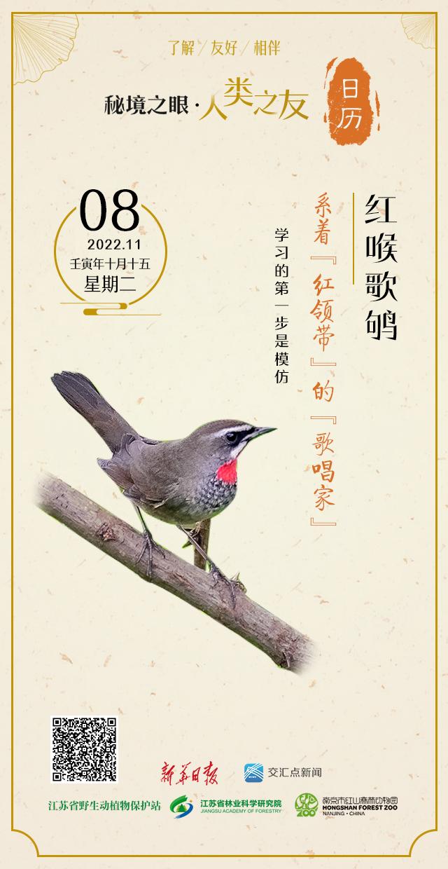 小巷深处的时尚秘境，最新领带潮流