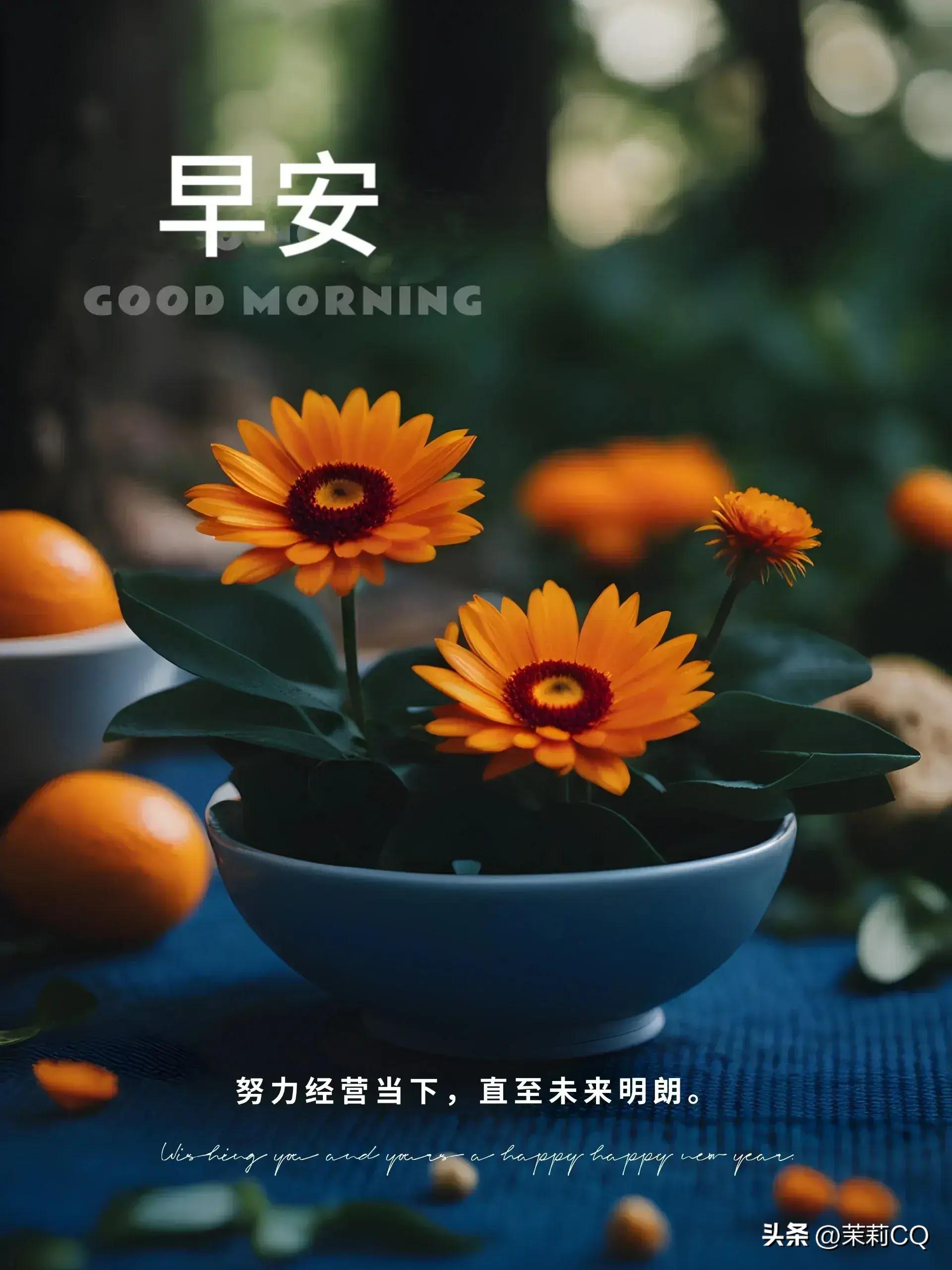 第1173页