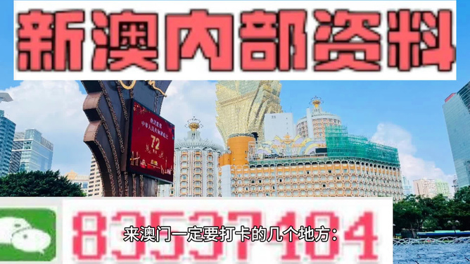 2024新澳正版资料最新,动态解读分析_量身定制版95.271