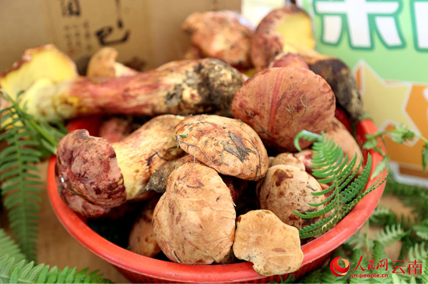 最新豆制品，味蕾上的友情之旅探索