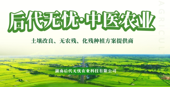 弱势儿童多元教育 第198页