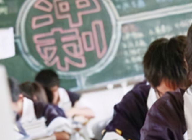 石家庄最新考试成绩，时代的见证与教育的进步成果揭晓