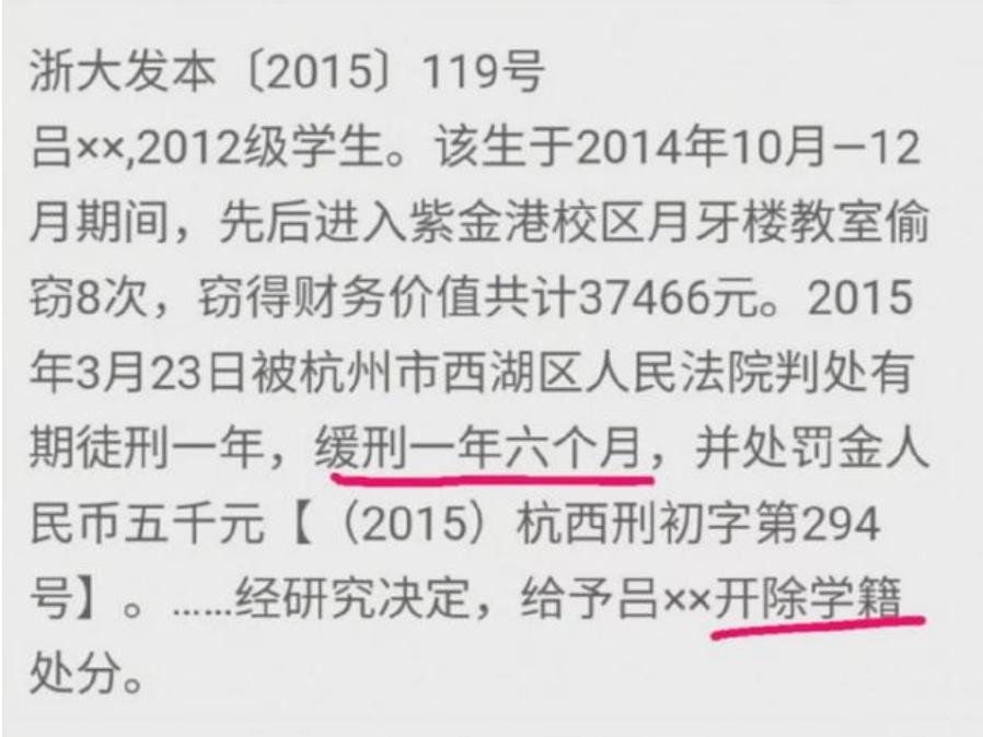 努某某浙大最新消息全解析，步骤指南与最新动态