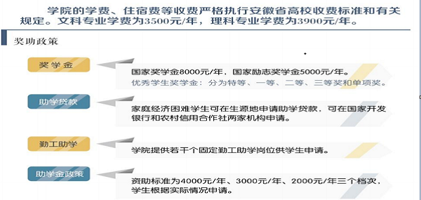 教育部最新学校学费规定详解，步骤指南与解读