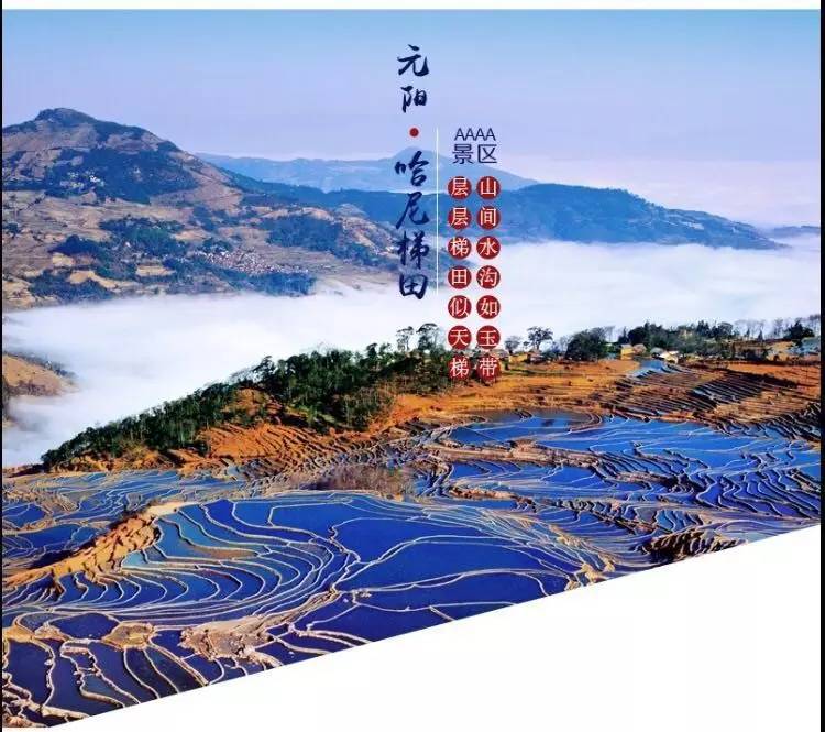 云南疫情最新动态下的自然美景与内心平静之旅