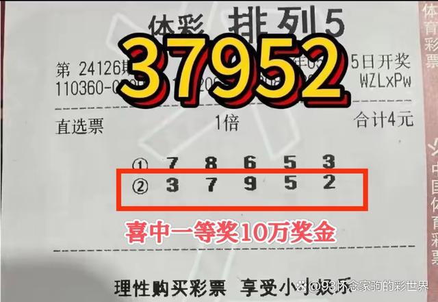 排列五开奖最新动态，深度解读背后的社会现象
