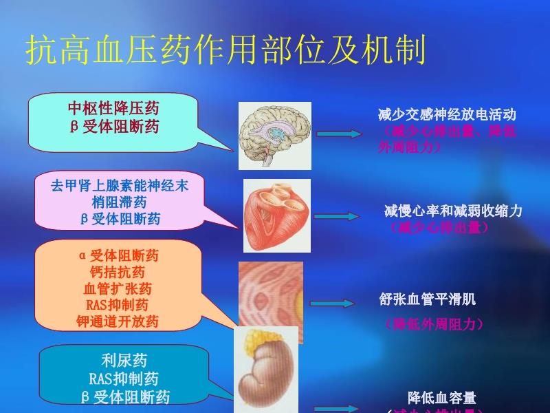 治疗高血压的最新药物指南与药物选择策略