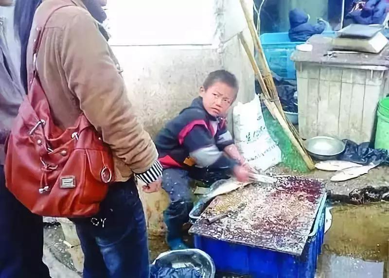 杀鱼技巧