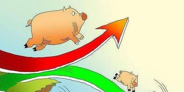 广东猪价最新动态，变化背后的故事，学习与成就的力量在推动前行