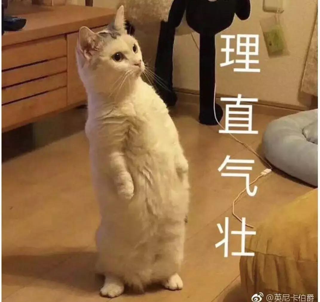 红贝贝最新专辑，获取、欣赏与深入了解的全方位指南