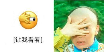 全新尔康时代，颠覆认知的升级版尔康探索之旅