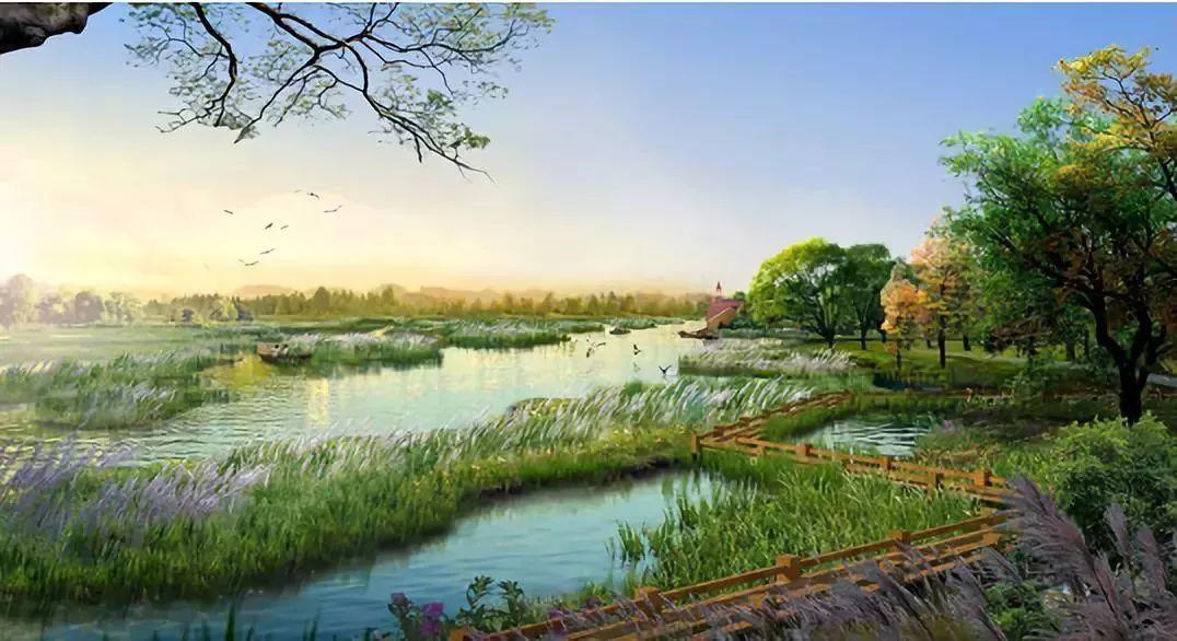天津湿地公园绿意盎然新规划，未来展望令人期待！