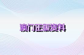 正版资料2025年澳门免费,快速处理计划_影音版57.157