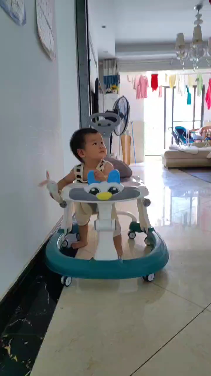 最新学步车，驾驭变化，自信驶向成功之旅