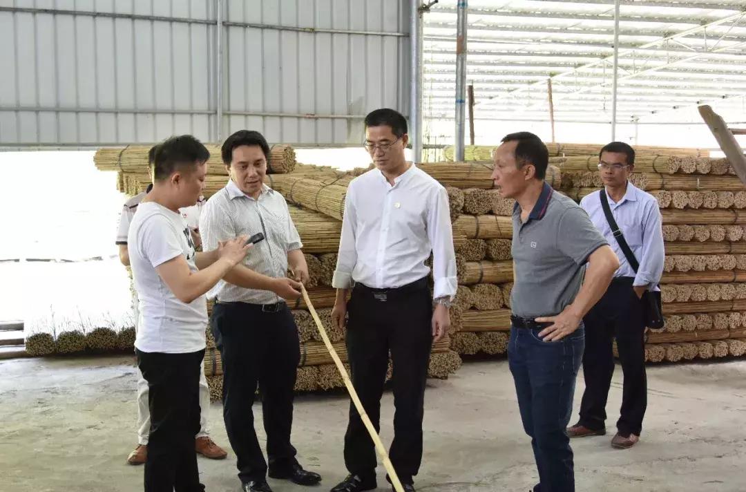 招商局最新动态，深度解析与观点阐述