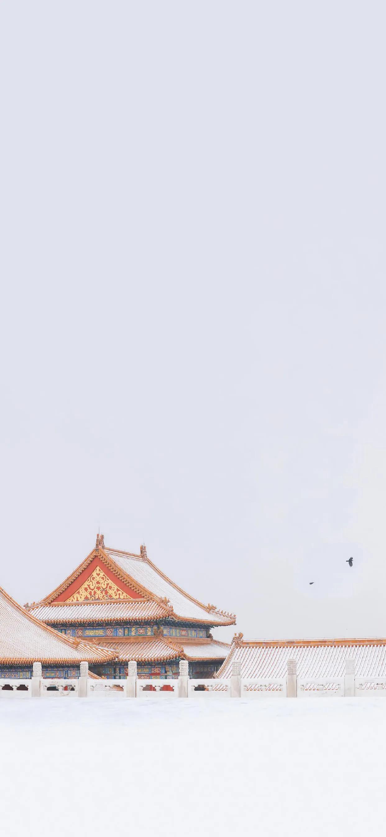 时代繁荣背景下的壁纸最新图片风潮及其影响