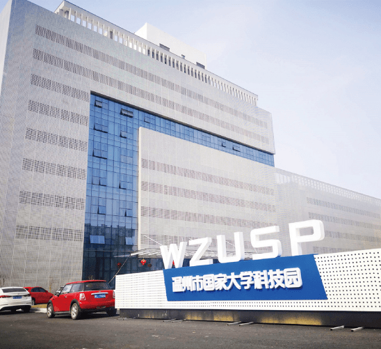 东凛最新动态，科技与文化的融合探索