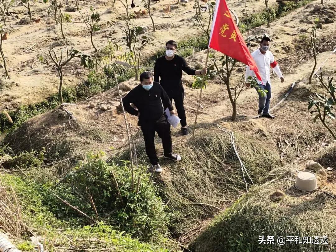 河口最新招聘信息探索自然美景，寻找内心宁静之旅