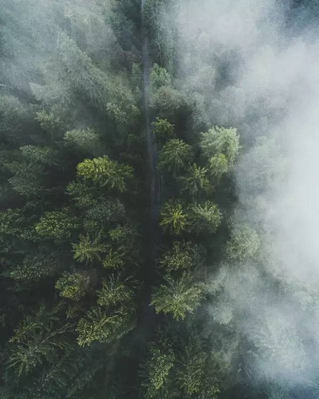 清华大学生医药校友会 第95页