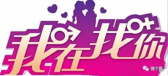 宁晋123最新探秘，小巷中的惊喜宝藏