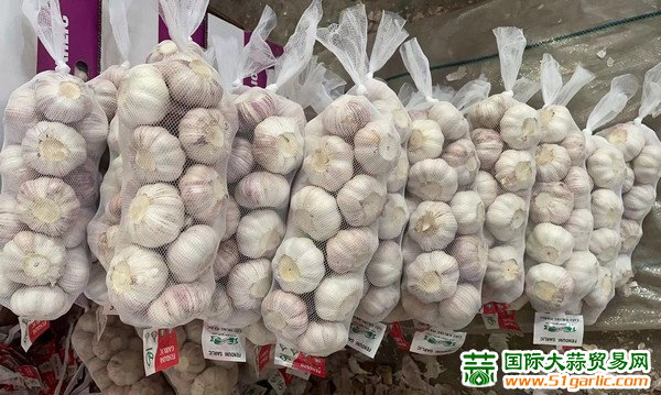 今日大蒜行情概览与深度分析