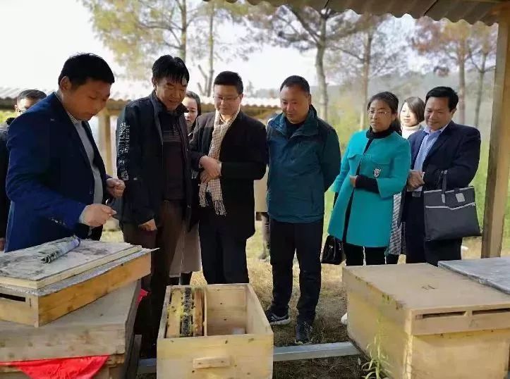 洋县新闻最新动态更新