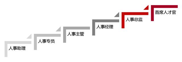 官梯最新动态，背景、事件、影响与时代地位一览