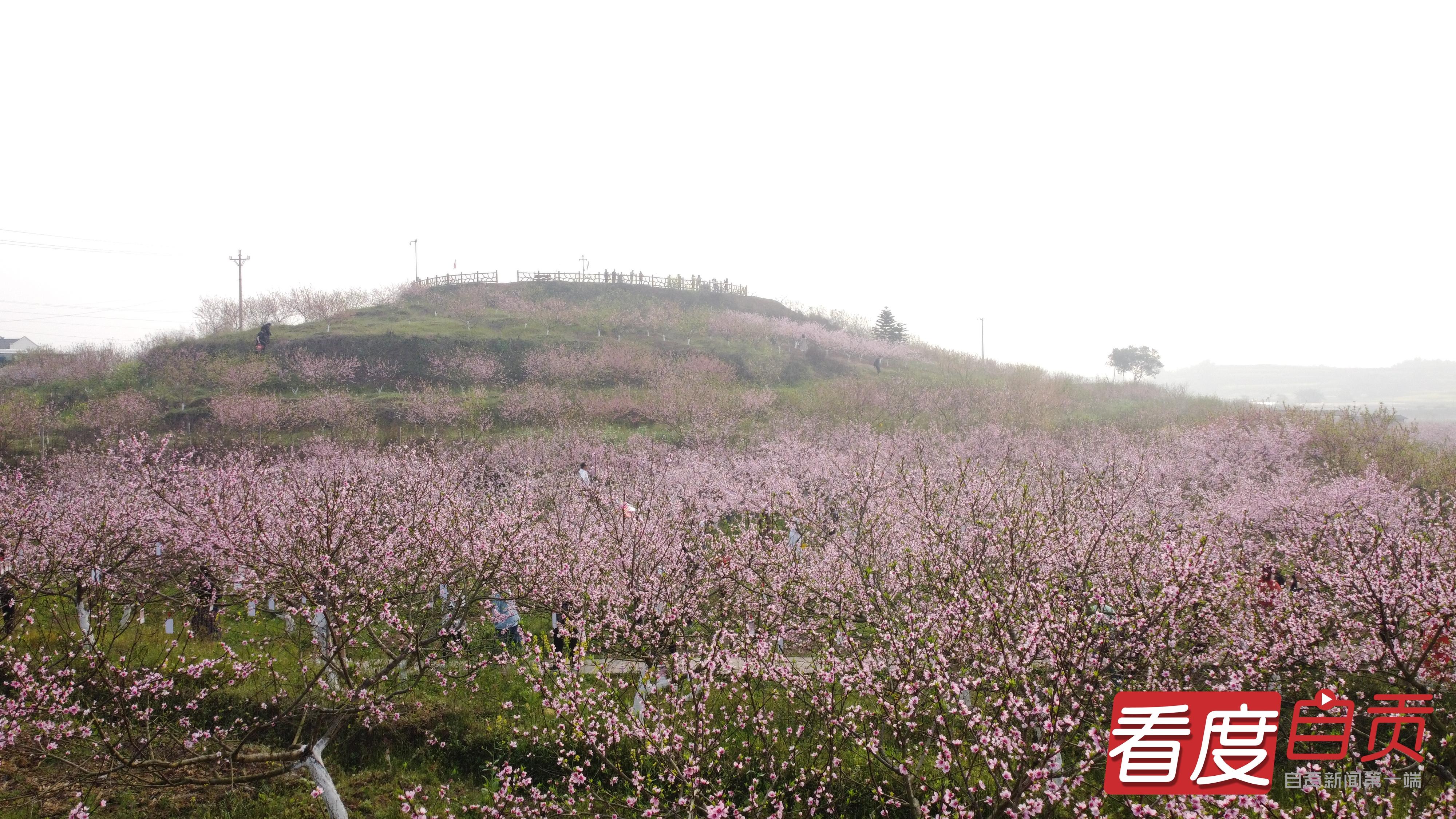 中国最新行政区划中的温馨故事