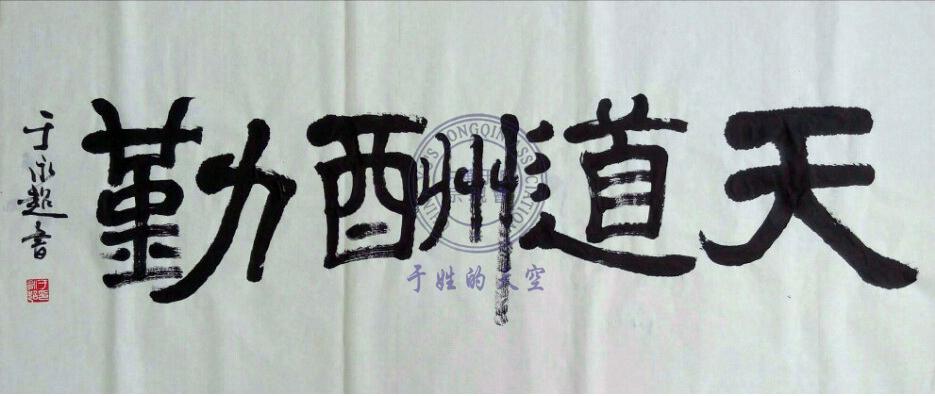 最新本道高清，文化现象的深度解读与探讨