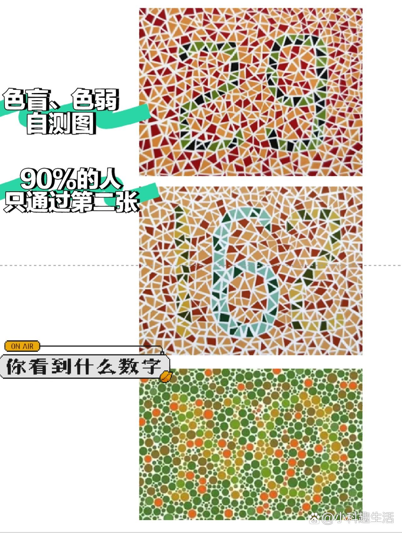 最新色盲测试图及其观点论述解析