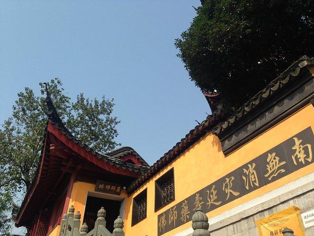 最新网马，探索自然美景，寻找内心宁静的轻松之旅