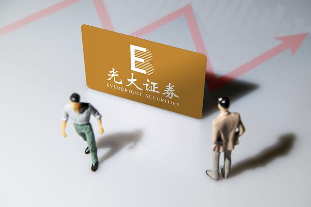 深度解析与观点阐述