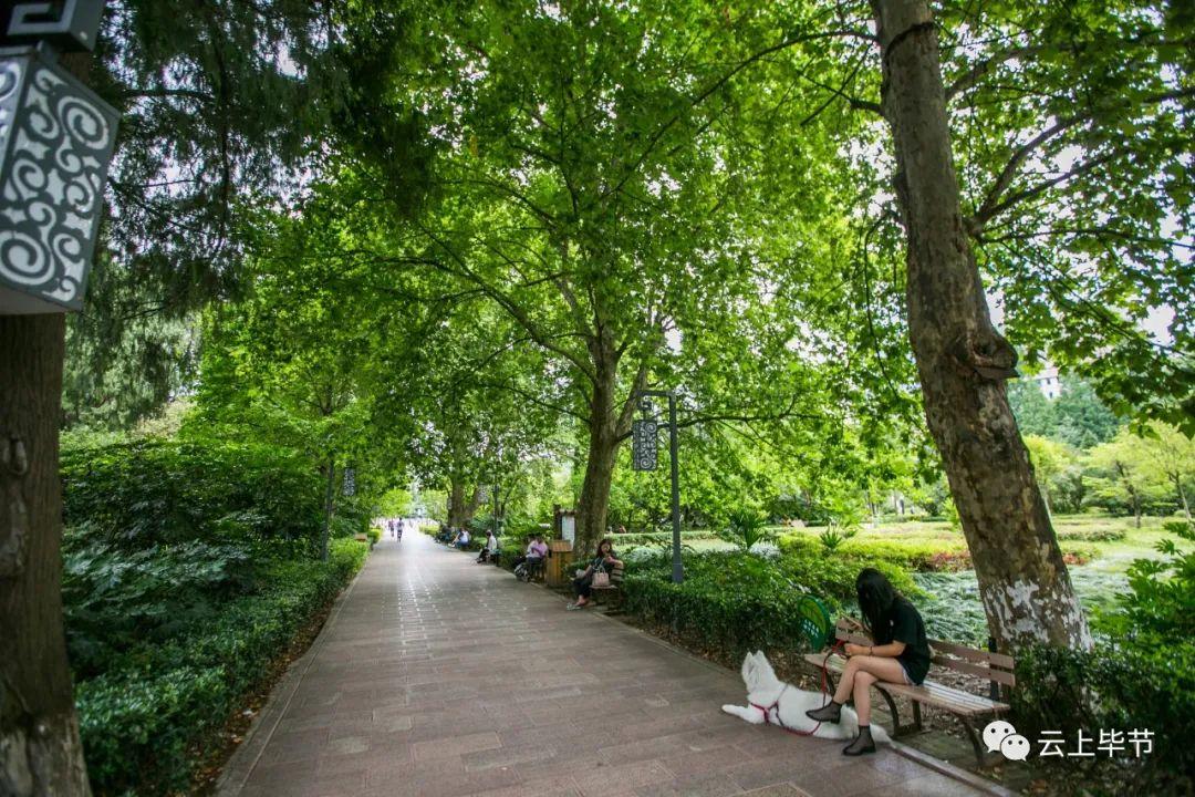 毕节最新房价，时代印记与城市的脉络同步更新