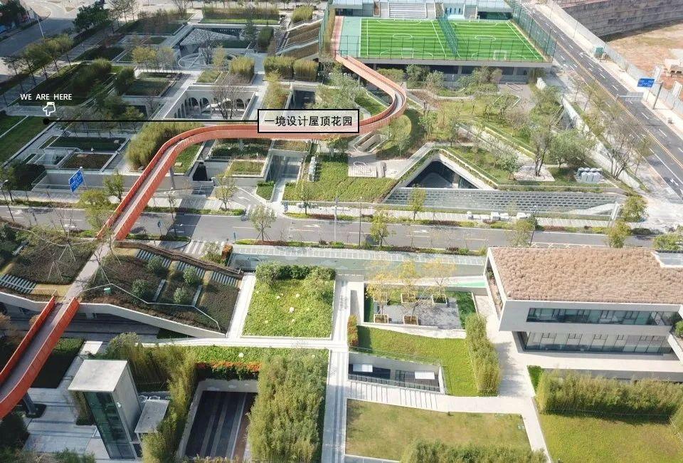 清华大学生医药校友会 第53页