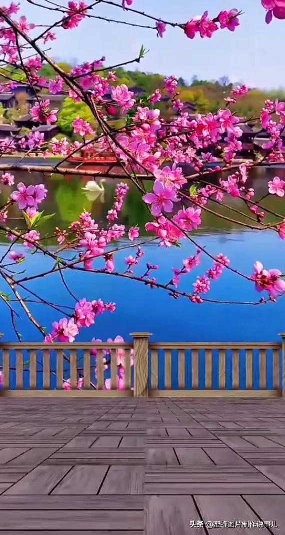 启程探索自然美景的治愈之旅，应用商店最新版下载指南