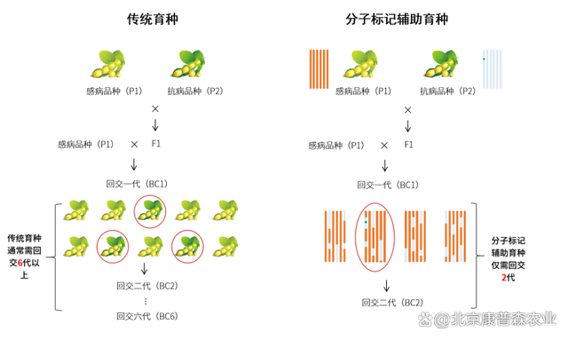 弱势儿童多元教育 第15页