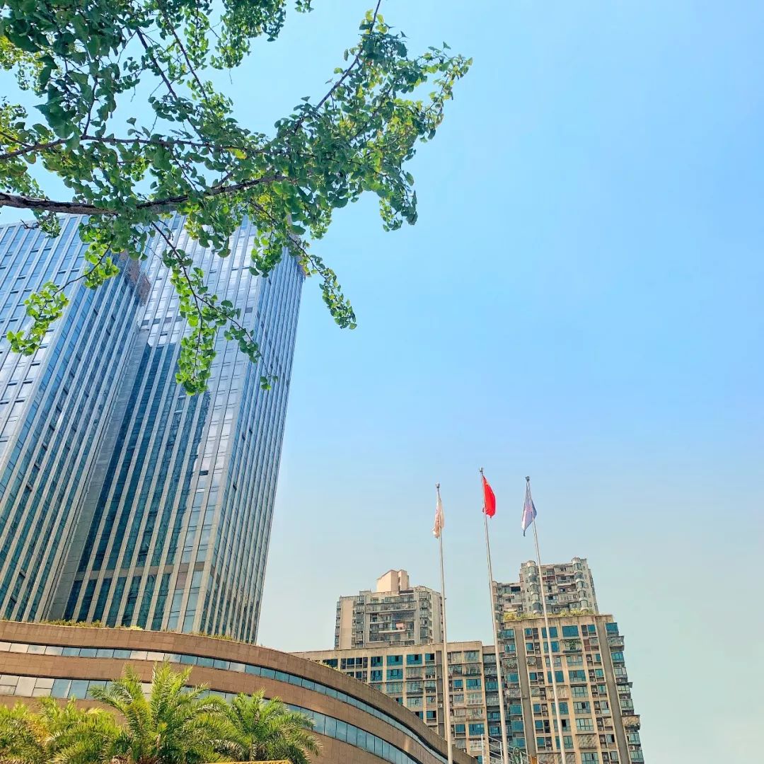 四川泸州新动态，城市变迁中的学习自信与成就感之源