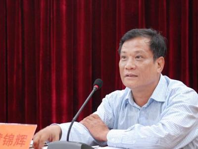 惠州黄锦辉最新动态，多方观点分析与个人立场阐述