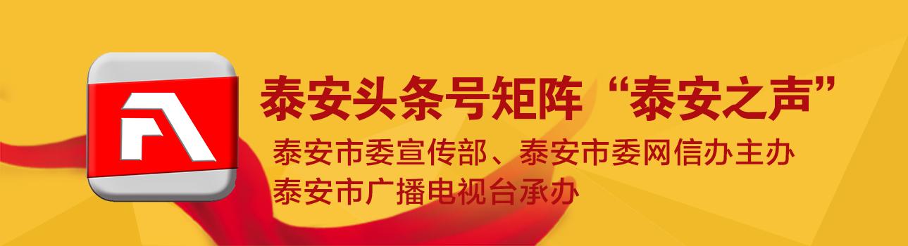 泰安市副市长名单揭秘，时代的见证者