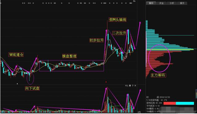 上海上港股票动态，变化中的力量，学习与自信的交响曲最新消息