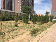 箭岭小区东区蜕变进行时，家园自信与成就感的源泉最新消息